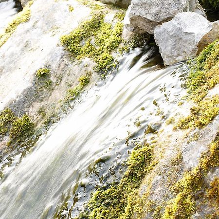 Rtanjski Dvori Boljevac Exteriér fotografie